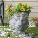 Crown Lion Gray Outdoor Planter