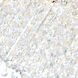 Claire 14 Light 24 inch Chrome Drum Shade Chandelier Ceiling Light