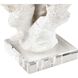 Coral 11.75 X 8.25 inch Sculpture, Set of 2