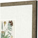 Antique Botanical Green and Beige and Multi and Neutral Framed Art