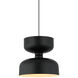 Pedestal 1 Light 13.75 inch Black Pendant Ceiling Light
