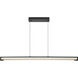 Neoness LED 50 inch Matte Black Linear Chandelier Ceiling Light in Clear