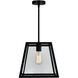 Alyson 1 Light 12 inch Black Down Mini Pendant Ceiling Light