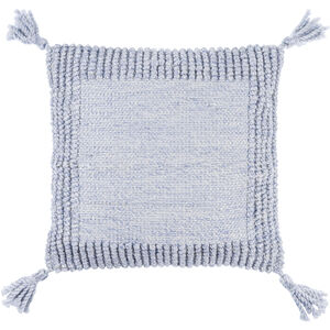 Alaric 18 X 18 inch Pale Blue Accent Pillow