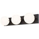 Parkview LED 24 inch Matte Black Bathroom Light Wall Light