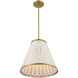 Aster 1 Light 16 inch Warm Brass Pendant Ceiling Light