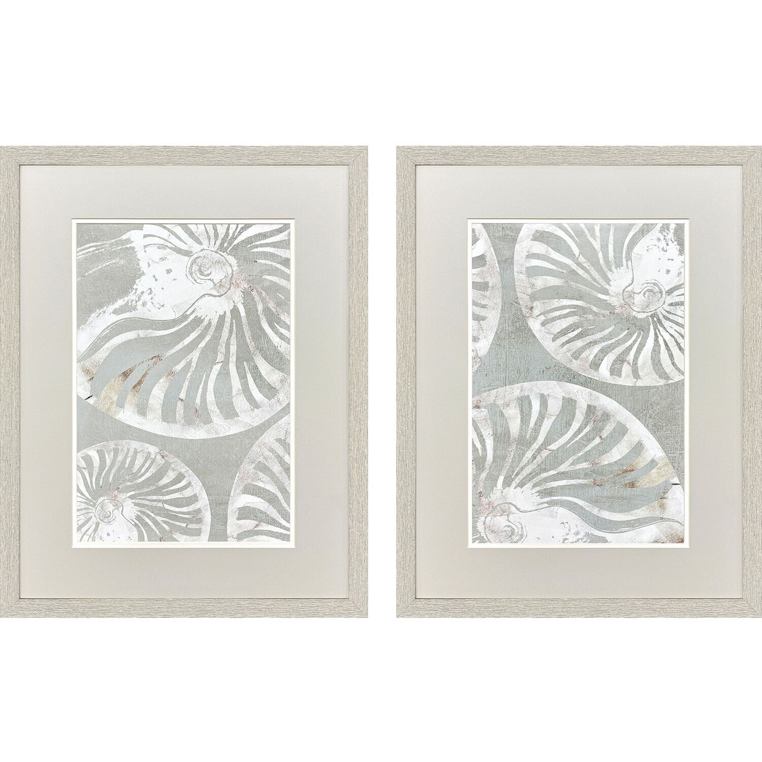 Nautilus Shell Green and Gray Framed Art, Propac