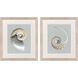 Neutral Nautilus Gray and Beige and Multi and Neutral Framed Art, Propac