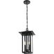 Thayer 2 Light 9 inch Black Outdoor Pendant
