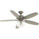 Renew Premier 52 inch Brushed Stainless Steel with Silver Blades Ceiling Fan