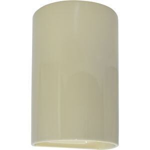 Ambiance 1 Light 10 inch Vanilla Gloss Outdoor Wall Sconce, Small
