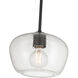 Pomari 1 Light 9.75 inch Matte Black Pendant Ceiling Light