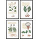 Magical Botany Green and Blue and Neutral and Rust Framed Art