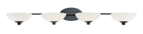 Rainier 4 Light 43.75 inch Bolivian Bath Vanity Wall Light