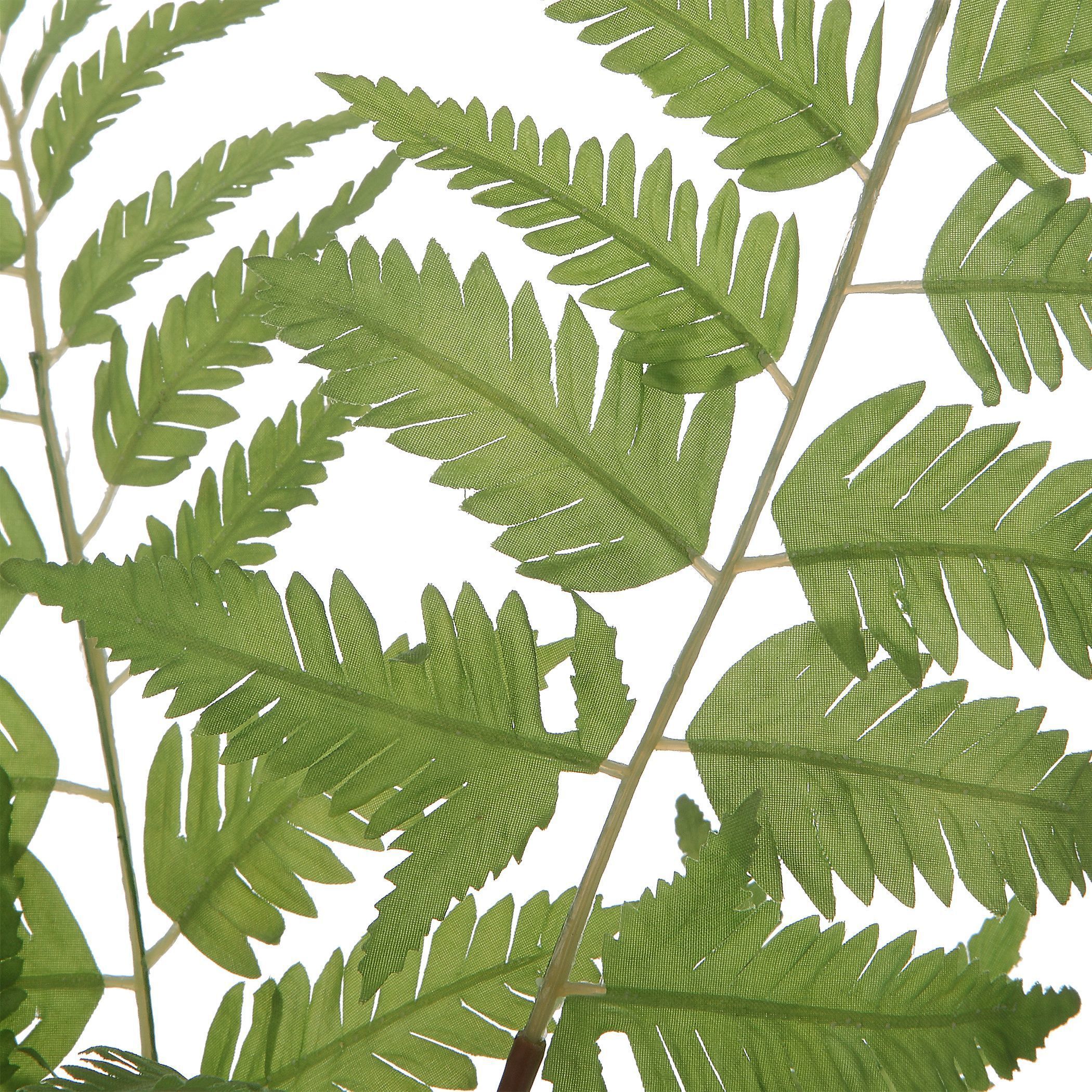 Country Green with Clear Glass Ferns, Set of 2