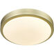 Gabi LED 10 inch Brushed Champagne Brass Flush Mount Ceiling Light