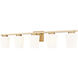 Nextra 5 Light 42 inch Modern Gold Bath Vanity Wall Light