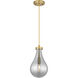 Owego 1 Light 7 inch Brushed Brass Pendant Ceiling Light in Light Smoke Glass