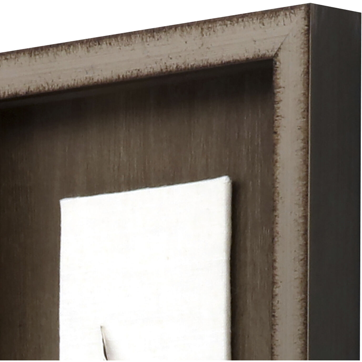 Lady Amhurst Feather Pheasant Feather Brown and Beige and Black and Neutral Framed Art