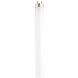 Lumos Fluorescent 32 watt 4100K Light Bulb, T8 Linear