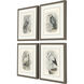 Animals Collection Gray Framed Art