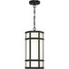 Monte 1 Light 9 inch Satin Black Outdoor LED Pendant