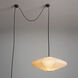 Roswell LED 10 inch Matte Black Pendant Swag Light Ceiling Light