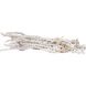 Banana Stem White Object