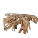Teak Root 60 X 16 inch Natural Console Table