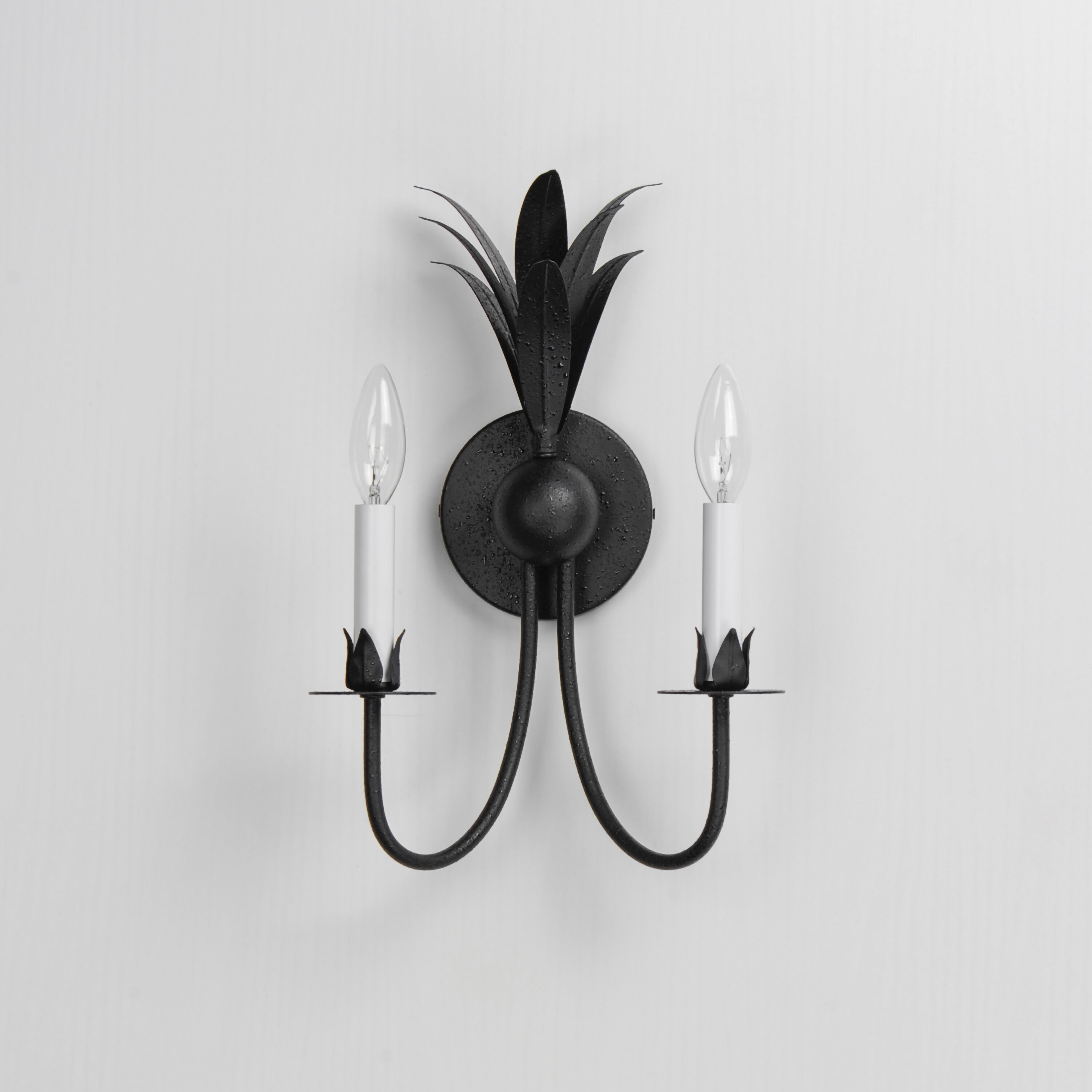 Paloma 2 Light 10.25 inch Anthracite Wall Sconce Wall Light
