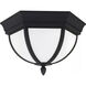Wynfield 2 Light 12.75 inch Black Outdoor Ceiling Flush Mount