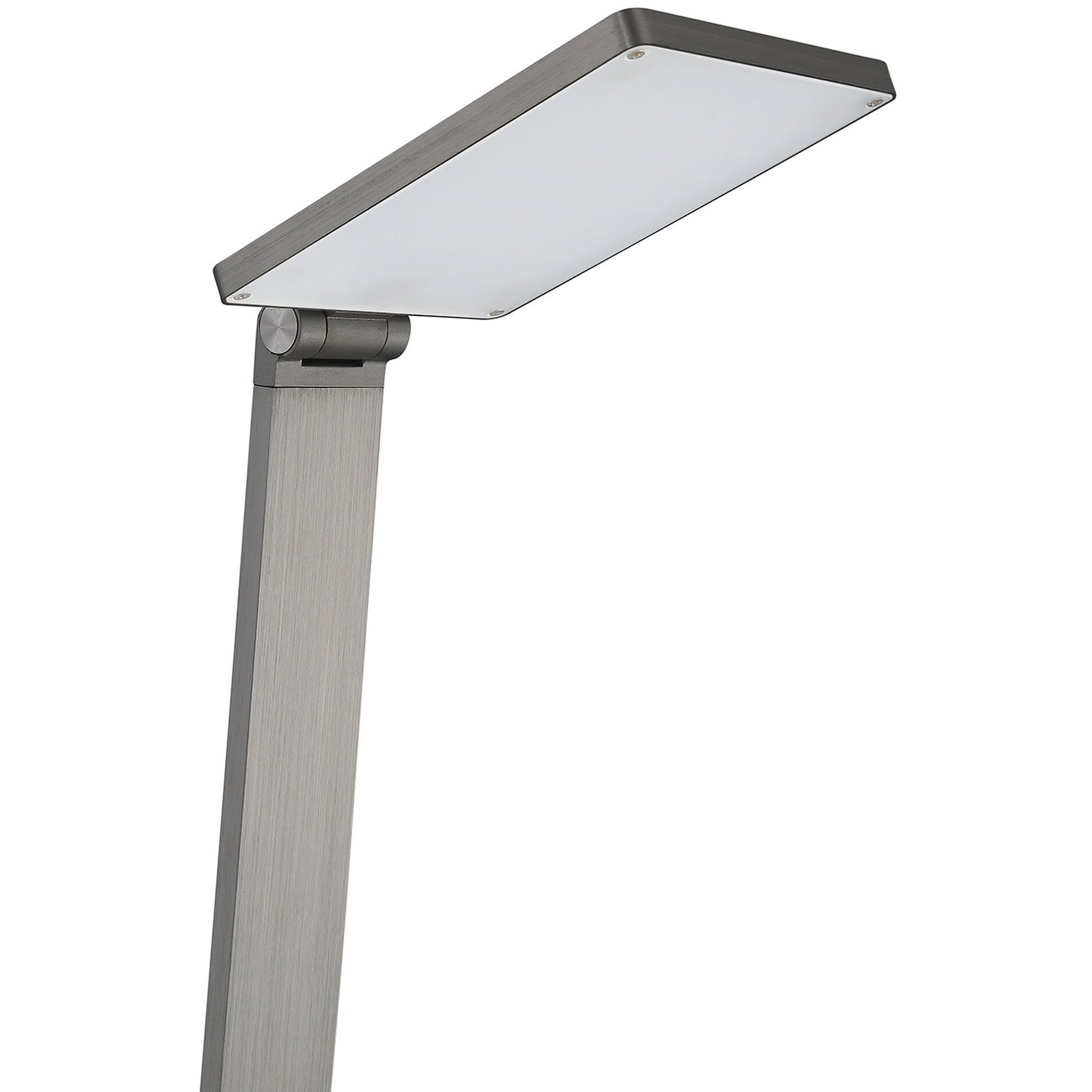 Reco 49 inch 10 watt Aluminum Floor Lamp Portable Light