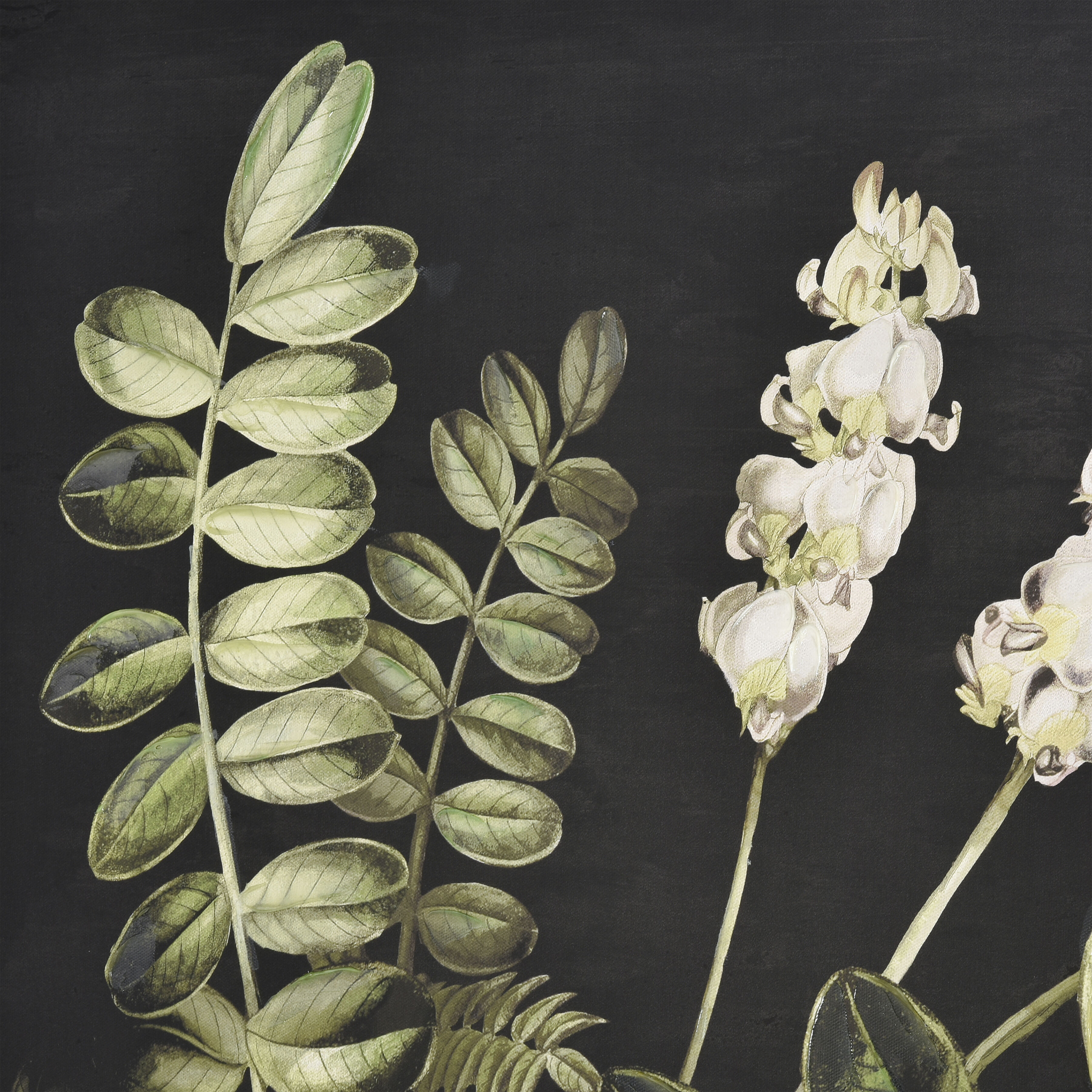 Botanical Study II Green with Black and Gold Framed Wall Art