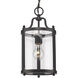 Payton Pendant Ceiling Light in Matte Black