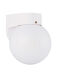 Outdoor Wall 1 Light 7.25 inch White Outdoor Wall Lantern