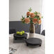 Anita Black Plant Stand