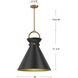 Alora Mood Emerson Pendant Ceiling Light in Matte Black and Aged Gold