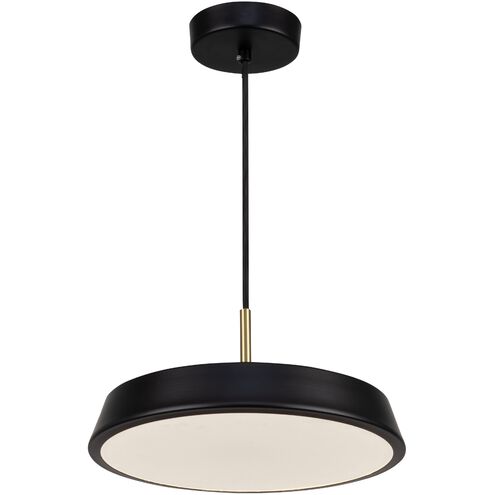Lexi LED 12 inch Black Pendant Ceiling Light