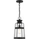 Quinton 1 Light 8.5 inch Matte Black Outdoor Hanging Lantern, Lighting One