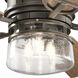 Lyndon 52 inch Olde Bronze with Medium Walnut Blades Ceiling Fan