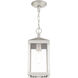 Nyack 1 Light 6 inch Brushed Nickel Outdoor Pendant Lantern