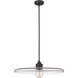 Paloma 1 Light 24 inch Matte Black Pendant Ceiling Light