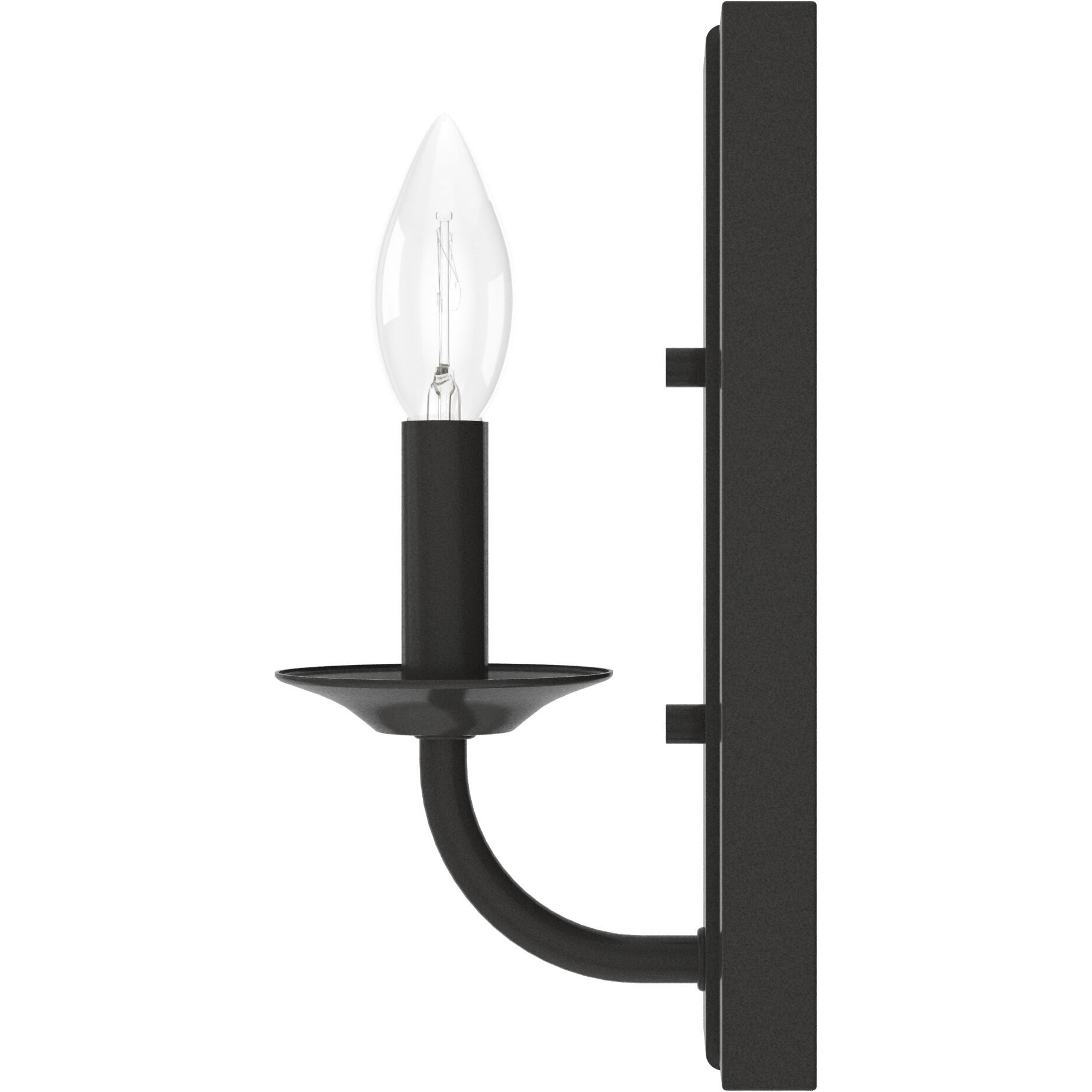 Perch Point 10 inch Wall Sconce Wall Light