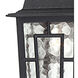 Banyan 1 Light 6 inch Textured Black Outdoor Hanging Lantern