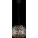 Windsor 4 Light 18 inch Carbon/Havana Gold Pendant Ceiling Light