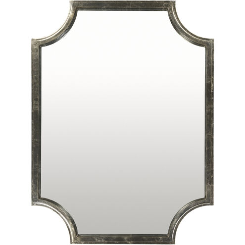 Joslyn 40 X 29.75 inch Silver Mirror, Large