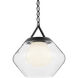 Nella 1 Light Black Pendant Ceiling Light