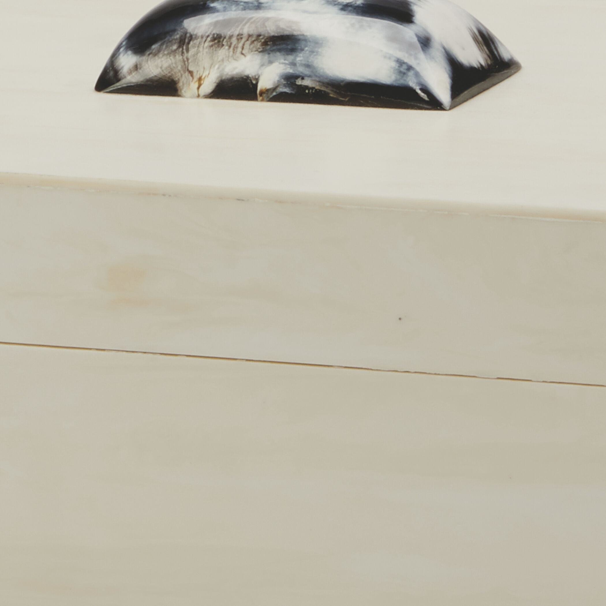 Constantine 12 X 7 inch Cream Resin w/ Horn Accent Large Rectangle Box