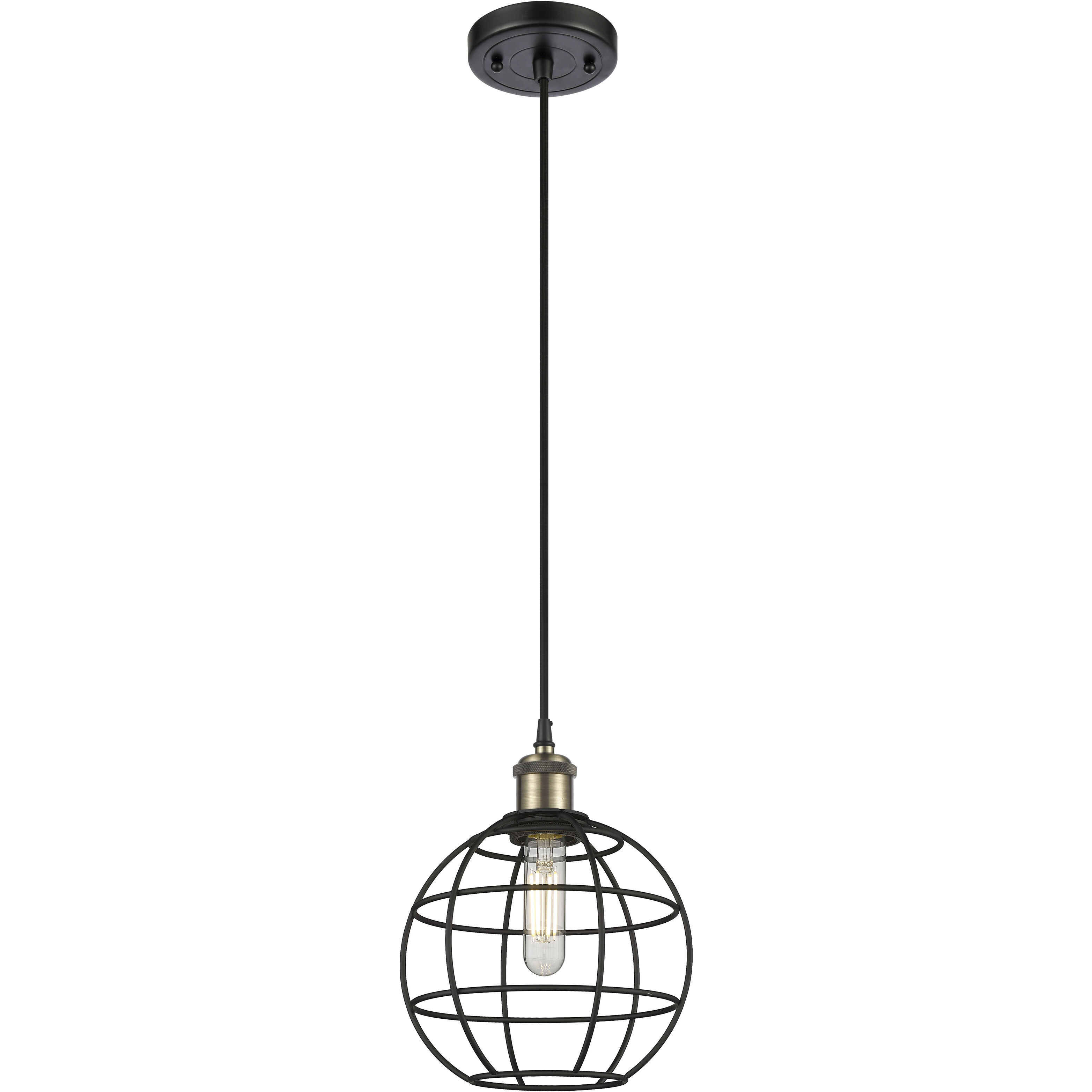 Lake Placid 1 Light 8 inch Black Antique Brass Pendant Ceiling Light