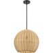 Elise 1 Light 16 inch Matte Black Pendant Ceiling Light